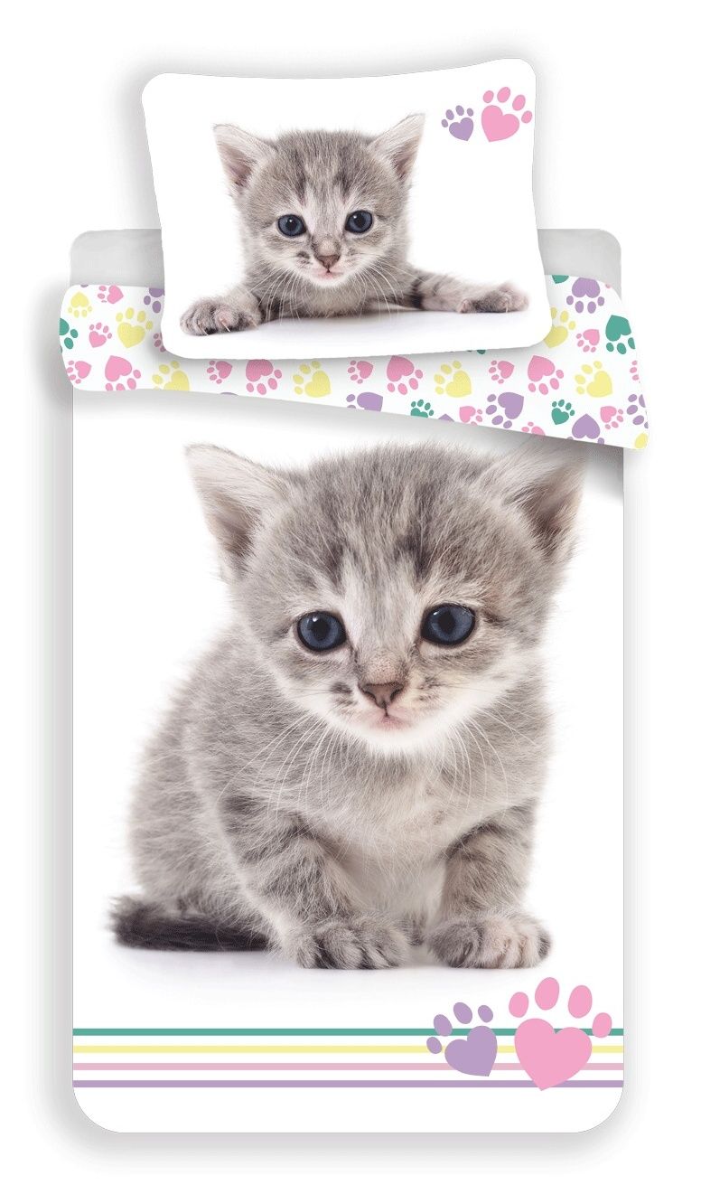 Jerry Fabrics Povlečení fototisk Kitten colour 140x200, 70x90 cm
