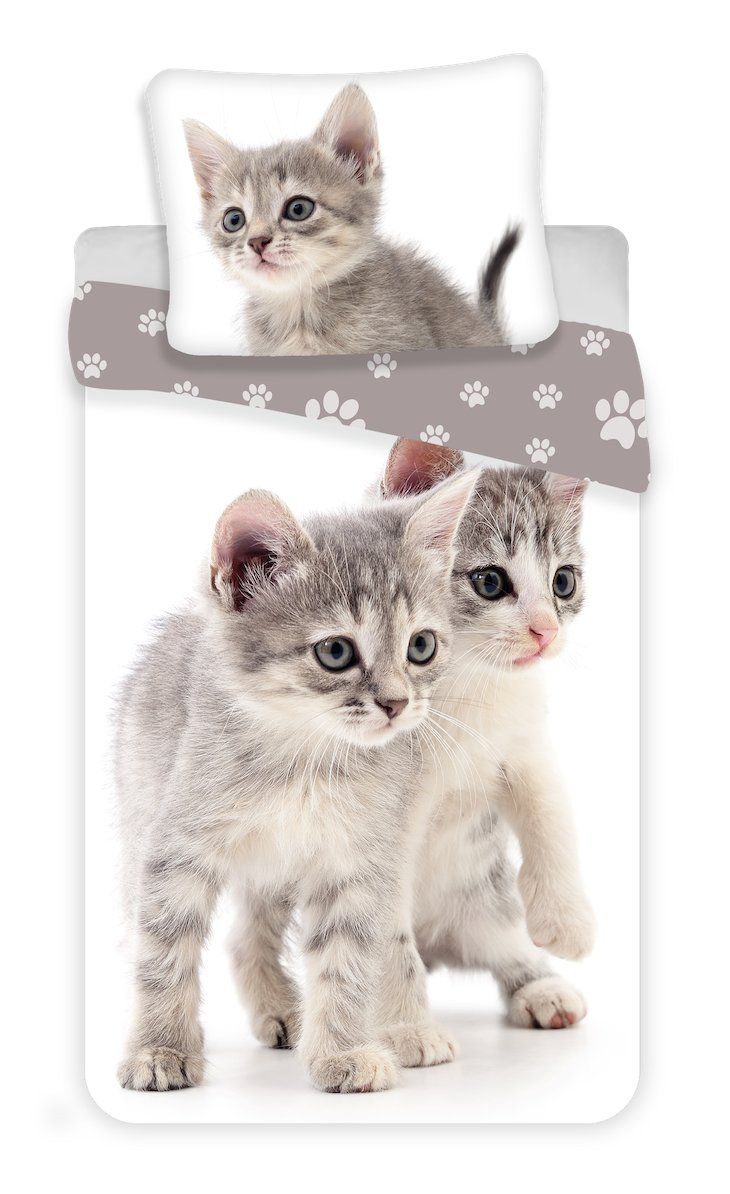 Se zvířecím motivem kvalitní bavlněné povlečení fototisk Kitten grey, Jerry Fabrics