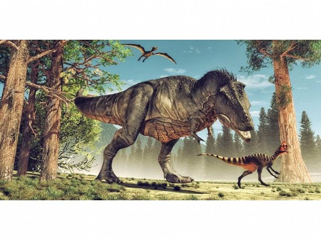 Carbotex Osuška Dinosauří svačinka rozměr 70x140 cm.