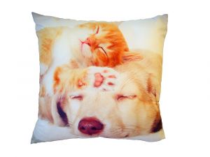 Fotopolštářek Spící kočka se psem | 40x40